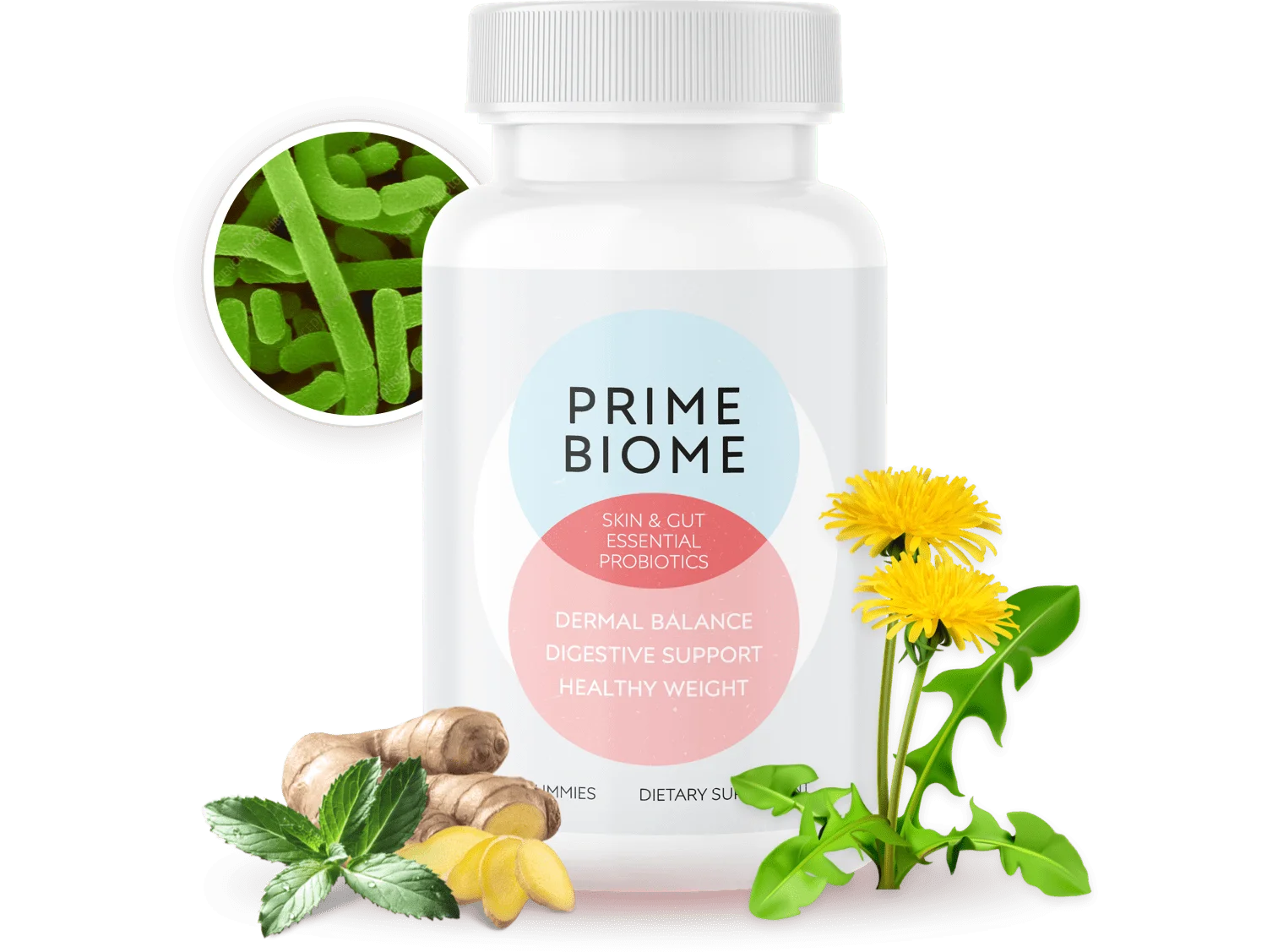 PrimeBiome buy